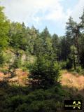 Granit-Steinbruch Lenk am Epprechtstein bei Kichenlamitz, Fichtelgebirge, Bayern, (D) (12) 25. Juli 2012.JPG